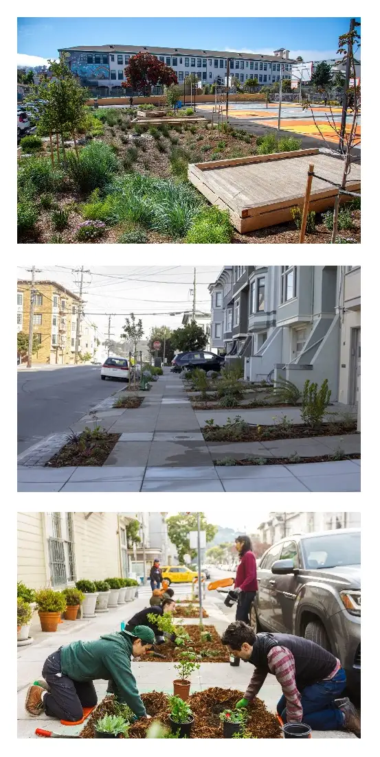 Three scales of San Francisco greening projects: a schoolyard rain garden retrofit, new sidewalk garden plantings along a residential block, and volunteers planting a sidewalk garden