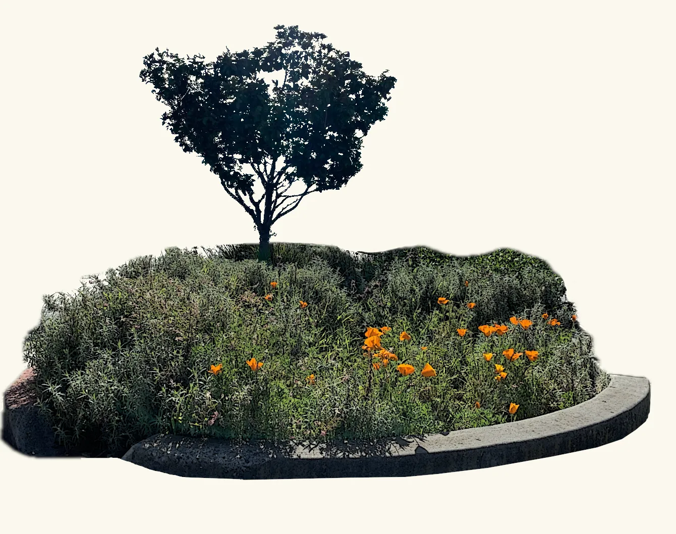 Green infrastructure