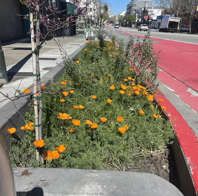 Deep green infrastructure example 1