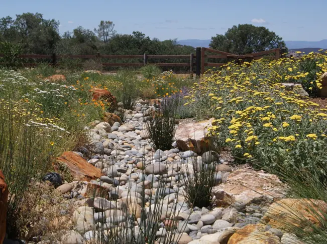 Deep green infrastructure example 2